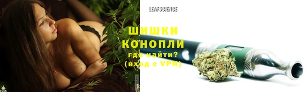 спиды Дмитровск
