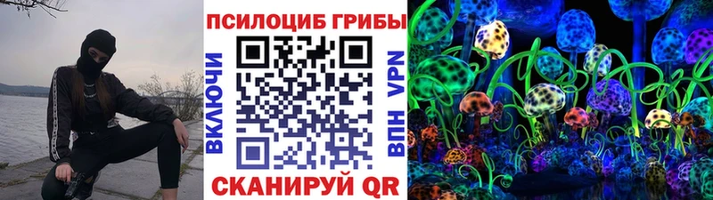 MEGA зеркало  Дегтярск  Псилоцибиновые грибы GOLDEN TEACHER 